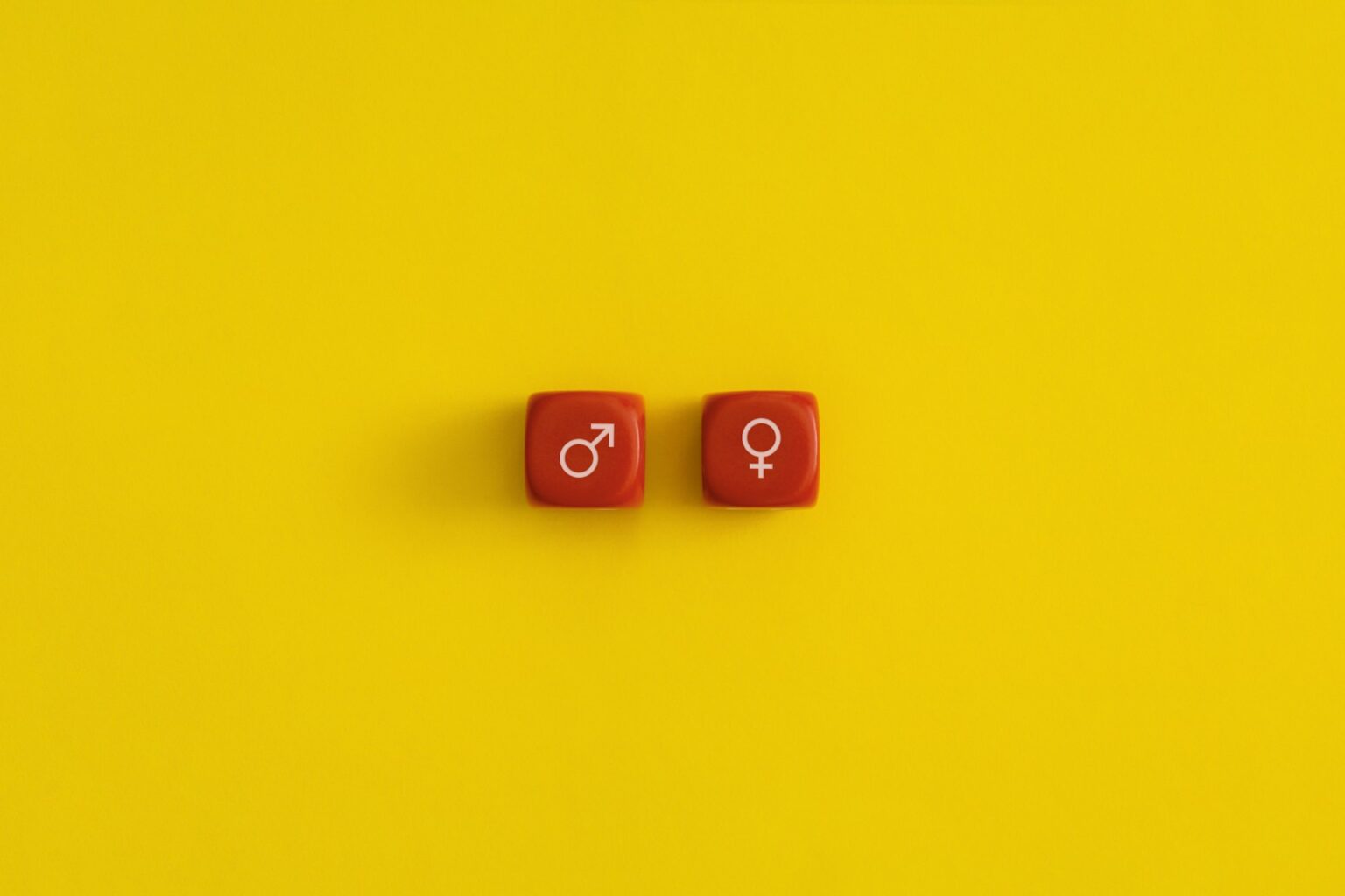 Male and female gender icons on a red cubes